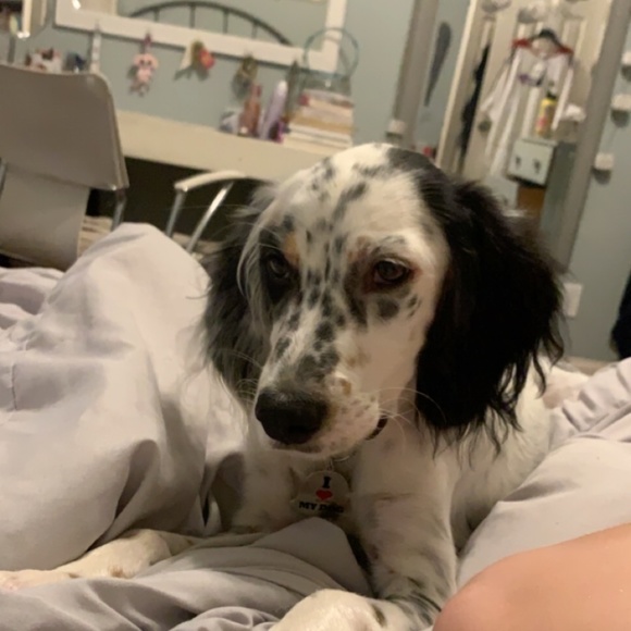 Meet your Posher, Fredi - Picture 2 of 2